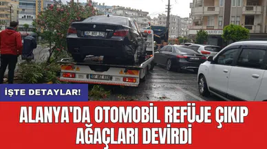 Alanya'da otomobil refüje çıkıp ağaçları devirdi