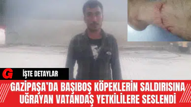 Gazipaşa’da Başıboş Köpeklerin Saldırısına Uğrayan Vatandaş Yetkililere Seslendi