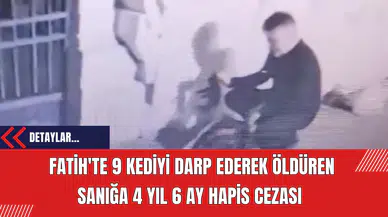 Fatih'te 9 Kediyi Darp Ederek Öldüren Sanığa 4 Yıl 6 Ay Hapis Cezası