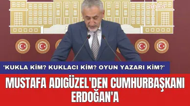 Mustafa Adıgüzel'den Cumhurbaşkanı Erdoğan'a: 'Kukla kim? Kuklacı kim? Oyun yazarı kim?'