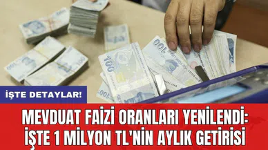 Mevduat faizi oranları yenilendi: İşte 1 milyon TL'nin aylık getirisi