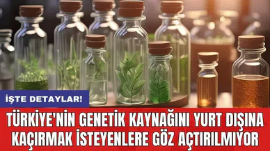 Türkiye'nin genetik kaynağını yurt dışına kaçırmak isteyenlere göz açtırılmıyor