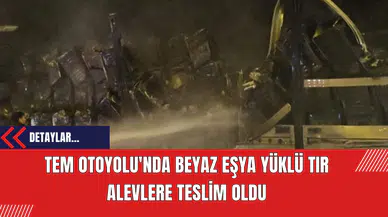 TEM Otoyolu'nda Beyaz Eşya Yüklü Tır Alevlere Teslim Oldu
