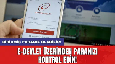 E-Devlet üzerinden paranızı kontrol edin! Birikmiş paranız olabilir!