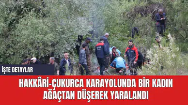 Hakkâri-Çukurca Karayolunda Bir Kadın Ağaçtan Düşerek Yaralandı