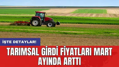 Tarımsal girdi fiyatları Mart ayında arttı