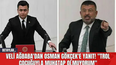 Veli Ağbaba'dan Osman Gökçek'e Yanıt! "Trol çocuğuyla muhatap olmuyorum"