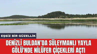Denizli Buldan’da Süleymanlı Yayla Gölü'nde nilüfer çiçekleri açtı