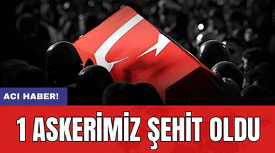 MSB'den acı haber: Bir asker şehit oldu