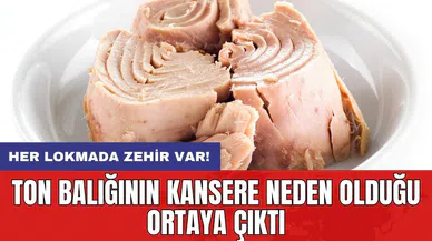 Ton balığının kansere neden olduğu ortaya çıktı: Her lokmada zehir var!
