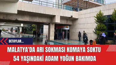 Malatya'da Arı Sokması Komaya Soktu: 54 Yaşındaki Adam Yoğun Bakımda
