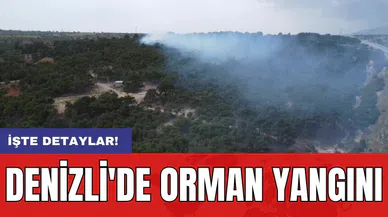 Denizli'de orman yangını