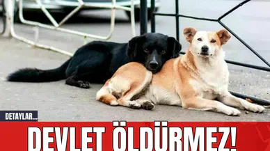 Devlet öldürmez!