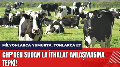 CHP'li Çakırözer'den Sudan'la ithalat anlaşmasına tepki: Türkiye'de hayvancılığı bitirdiniz
