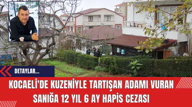 Kocaeli'de Kuzeniyle Tartışan Adamı Vuran Sanığa 12 Yıl 6 Ay Hapis Cezası