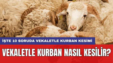 Vekaletle kurban nasıl kesilir? İşte 10 soruda vekaletle kurban kesimi