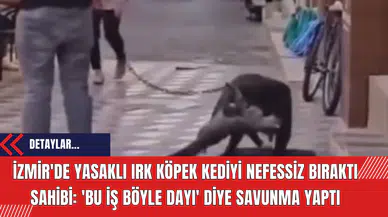 İzmir'de Yasaklı Irk Köpek Kediyi Nefessiz Bıraktı Sahibi: 'Bu İş Böyle Dayı' Diye Savunma Yaptı