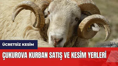 Çukurova kurban satış ve kesim yerleri! Kesim ücretsiz olacak