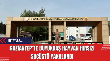 Gaziantep’te Büyükbaş Hayvan Hırsızı Suçüstü Yakalandı