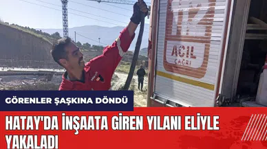 Hatay'da inşaata giren yılanı eliyle yakaladı
