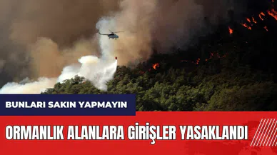 Muğla'da ormanlık alanlara girişler yasaklandı! Bunları sakın yapmayın
