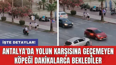 Antalya'da yolun karşısına geçemeyen köpeği dakikalarca beklediler