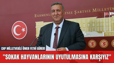 CHP Milletvekili Ömer Fethi Gürer! "Sokak Hayvanlarının Uyutulmasına Karşıyız"