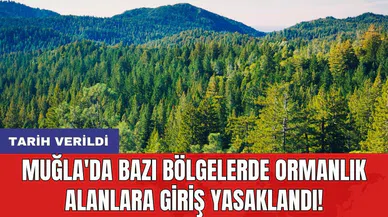 Muğla'da bazı bölgelerde ormanlık alanlara giriş yasaklandı! Tarih verildi