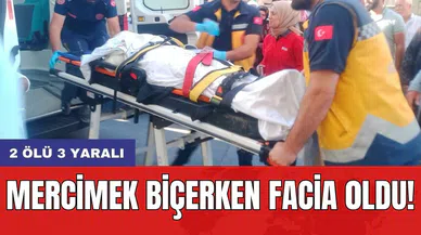 Mercimek biçerken facia oldu! 2 ölü 3 yaralı