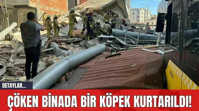 Çöken Binada Bir Köpek Kurtarıldı!