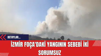 İzmir Foça'daki yangının sebebi iki sorumsuz