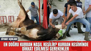 Diyanet Açıkladı! En Doğru Kurban Nasıl Kesilir? Kurban Kesiminde Dikkat Edilmesi Gerekenler