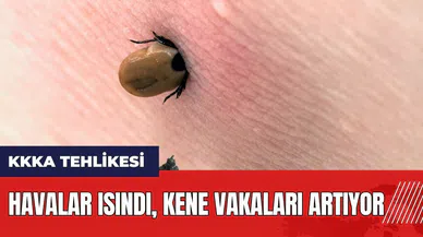 KKKA tehlikesi! Havalar ısındı kene vakaları artıyor
