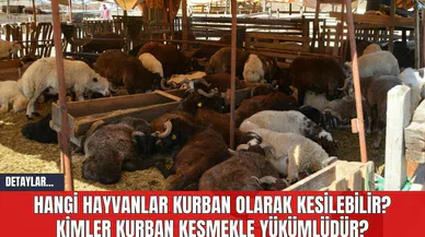 Hangi Hayvanlar Kurban Olarak Kesilebilir? Kimler Kurban Kesmekle Yükümlüdür?