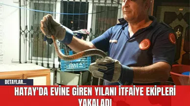 Hatay'da Evine Giren Yılanı İtfaiye Ekipleri Yakaladı