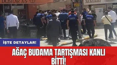 Ağaç budama tartışması kanlı bitti!