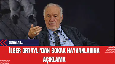 İlber Ortaylı’dan sokak hayvanları için açıklama