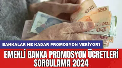 Emekli banka promosyon ücretleri sorgulama 2024: Bankalar Ne Kadar Promosyon Veriyor?