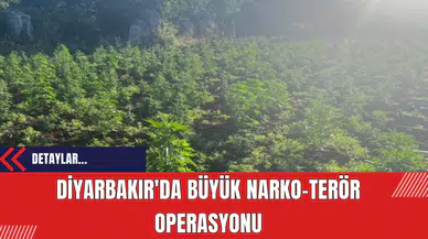 Diyarbakır'da Büyük Narko-Ter*r Operasyonu: 2 Milyon 67 Bin 550 Kenevir Ele Geçirildi