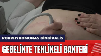 Gebelikte tehlikeli bakteri: Porphyromonas Gingivalis