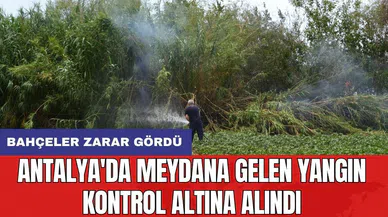Antalya'da meydana gelen yangın kontrol altına alındı