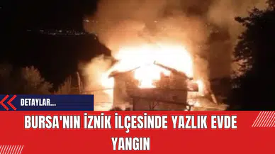Bursa'nın İznik İlçesinde Yazlık Evde Yangın