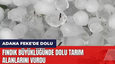 Adana Feke'de fındık büyüklüğünde dolu tarım alanlarını vurdu