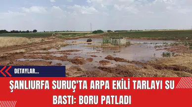 Şanlıurfa Suruç'ta Arpa Ekili Tarlayı Su Bastı: Boru Patladı