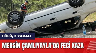 Mersin Çamlıyayla'da feci kaza: 1 ölü, 2 yaralı