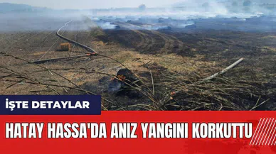 Hatay Hassa'da anız yangını korkuttu