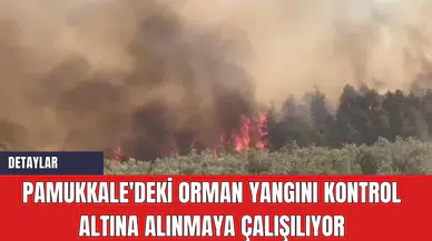 Pamukkale'deki Orman Yangını Kontrol Altına Alınmaya Çalışılıyor