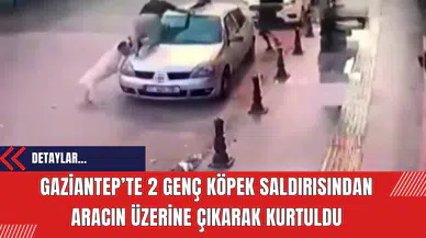 Gaziantep’te 2 genç köpek saldırısından aracın üzerine çıkarak kurtuldu
