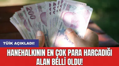 Hanehalkının en çok para harcadığı alan belli oldu!