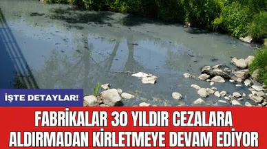 Fabrikalar 30 yıldır cezalara aldırmadan kirletmeye devam ediyor
